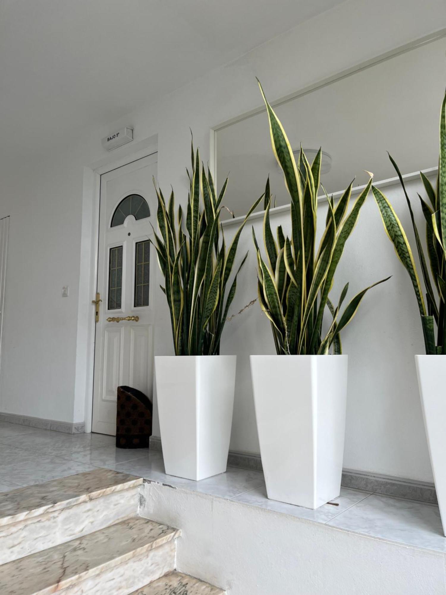 Apartamento En Sardineiro, Finisterre B5 المظهر الخارجي الصورة